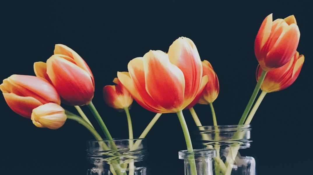 Εορτολόγιο: Σήμερα 19 Φεβρουαρίου 2023 γιορτάζει…