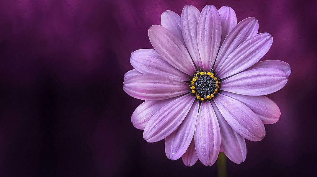 Εορτολόγιο: Σήμερα 7 Νοεμβρίου γιορτάζει…