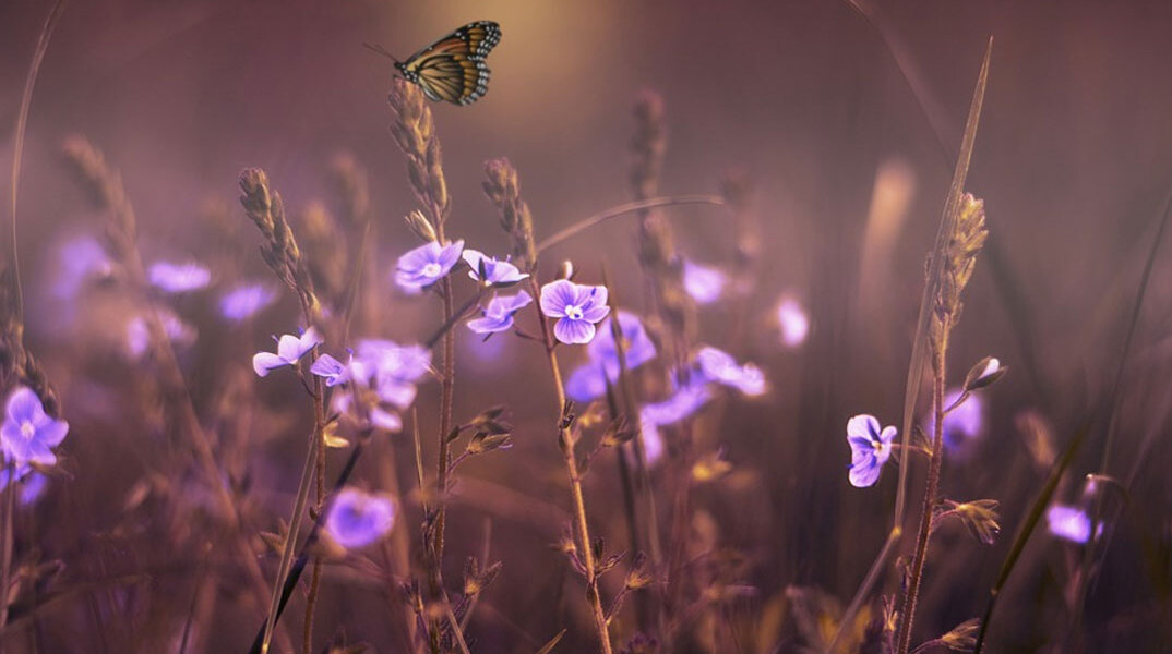 Γενικά αίθριος ο καιρός αύριο Δευτέρα (20/2)