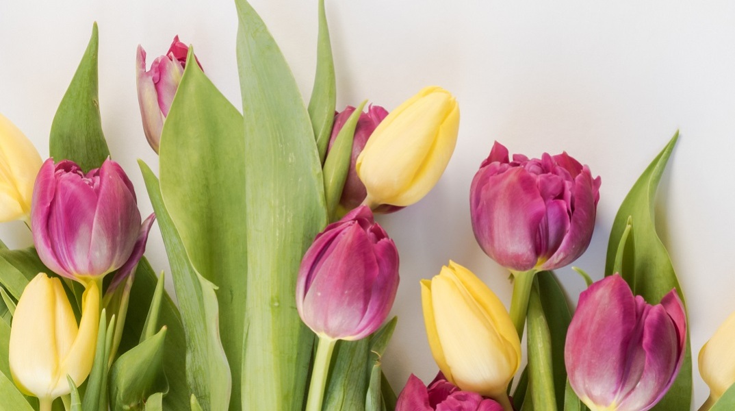 Εορτολόγιο: Σήμερα 23 Φεβρουαρίου 2023 γιορτάζει…