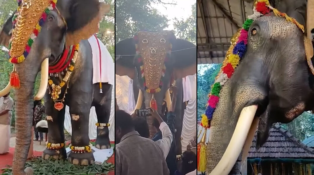 Ο ελέφαντας - ρομπότ στην Ινδία
