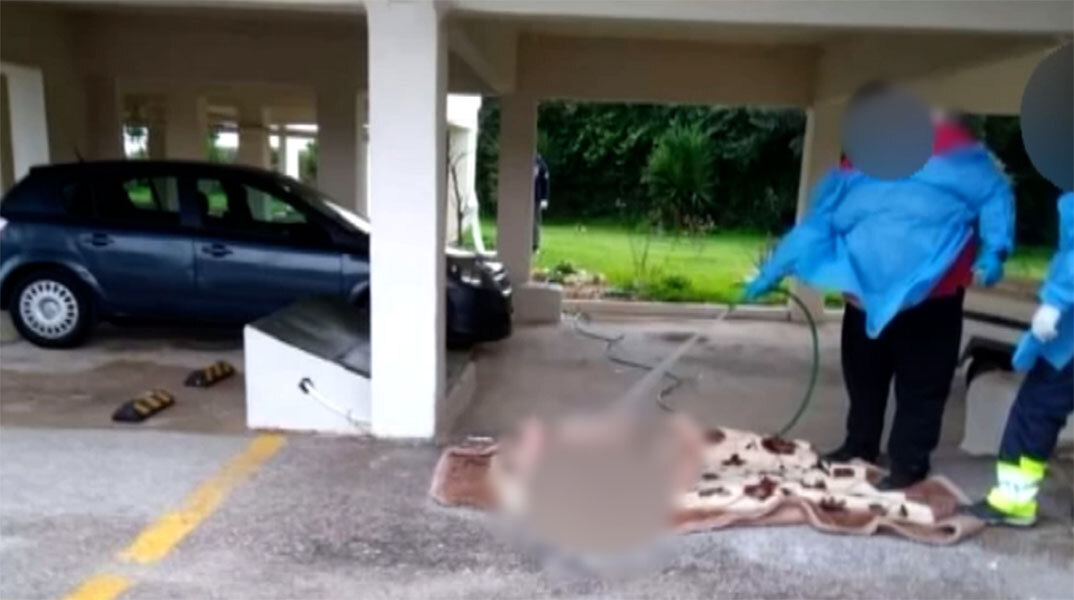 Περιστατικό με ηλικιωμένη και διασώστες στον Ωρωπό