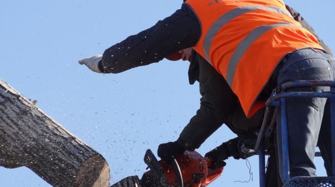 Στο αυτόφωρο επειδή προστατεύουν τα… δέντρα! Συνελήφθησαν 14 πολίτες