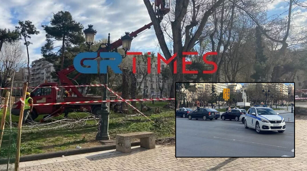 Κοπή δέντρων στη Θεσσαλονίκη και προσαγωγές στη Ρωμαϊκή Αγορά
