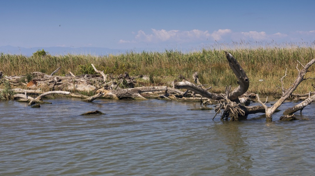 Θεσσαλονίκη: Εντοπίστηκε σορός στον Αξιό ποταμό