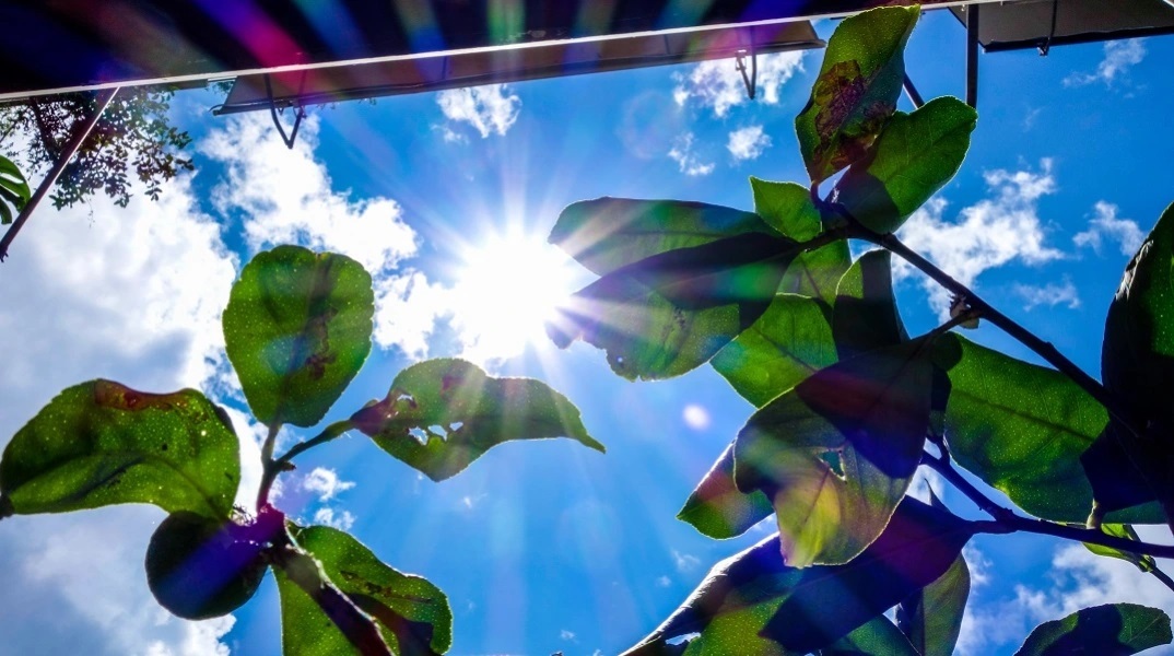 Καιρός σήμερα: Ηλιοφάνεια και ζέστη σχεδόν σε όλη τη χώρα
