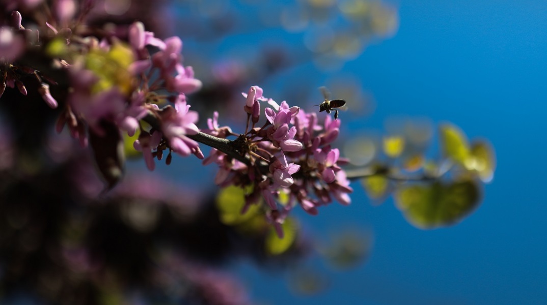 Καιρός: Καθημερινή πρόγνωση μέχρι και το Πάσχα