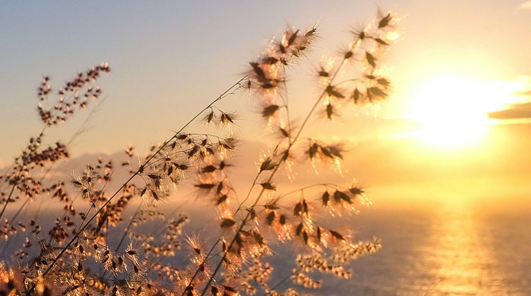 Μάρτιος 2023: Ο δεύτερος θερμότερος παγκοσμίως από το 1979