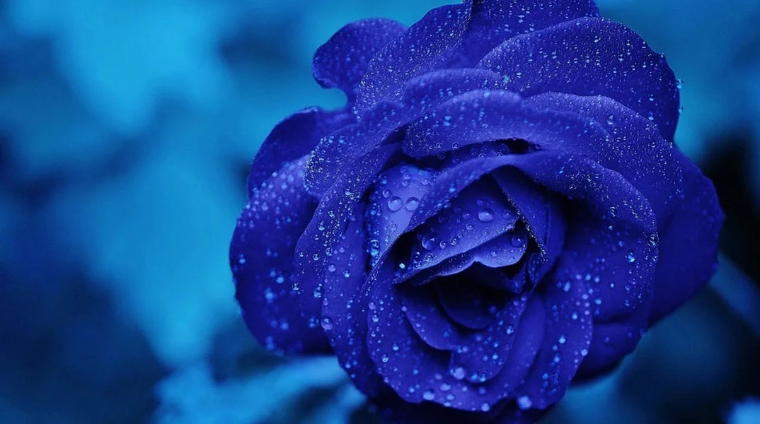 Εορτολόγιο: Σήμερα 10 Απριλίου 2023 γιορτάζει…