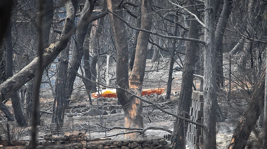 Δίκη για το Μάτι - Τεχνικός σύμβουλος των θυμάτων: «Γνώριζαν ότι έθεταν σε κίνδυνο ανθρώπινες ζωές»