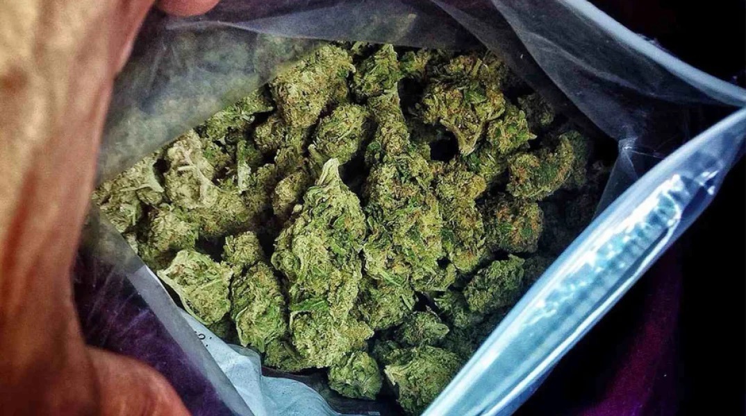 Μαρκόπουλο: Εξαρθρώθηκε κύκλωμα παραγωγής και διακίνησης ναρκωτικών