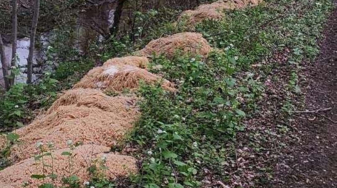 Μυστήριο με σορούς από μακαρόνια δίπλα σε ρέμα στο Νιου Τζέρσεϊ