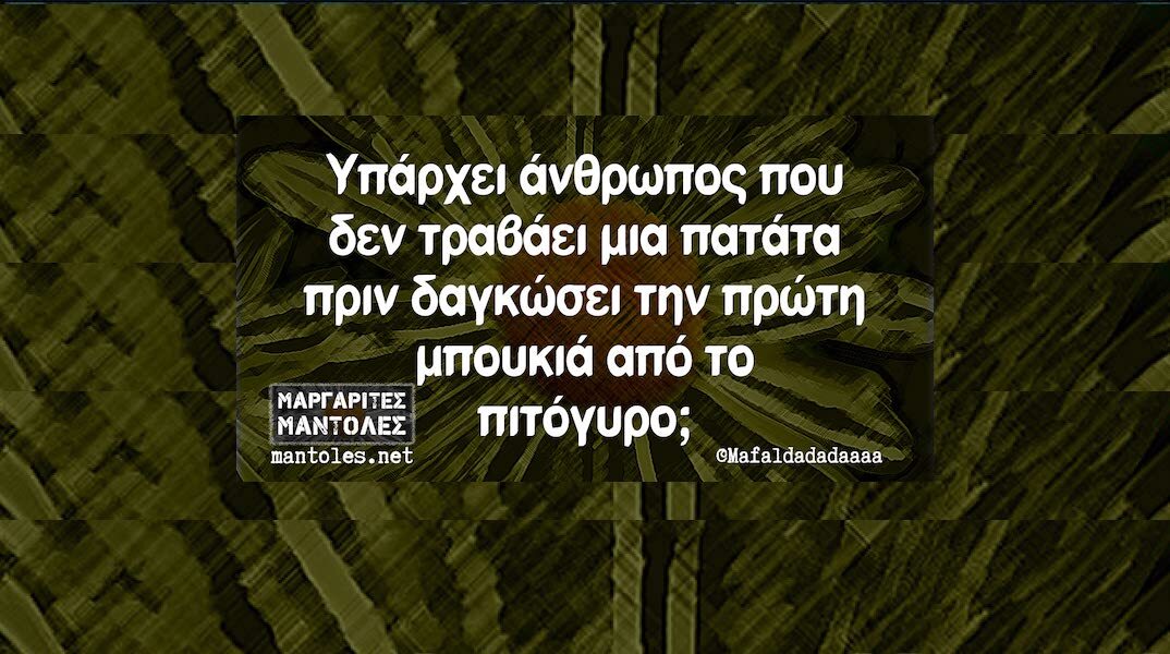 Αστεία memes, ατάκες, YOLO βίντεο, viral, αστεία video στο TikTok που ανέβηκαν στο διαδίκτυο και μας έκαναν να γελάσουμε.