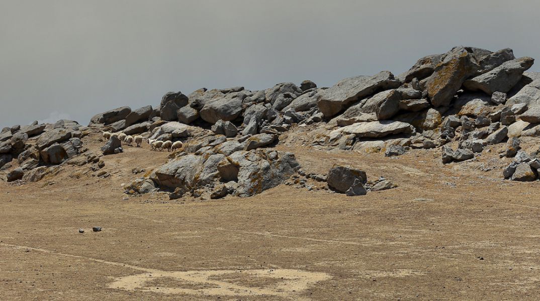 Μύκονος, Το Μαγικό Νησί, Σπύρος Παλούκης