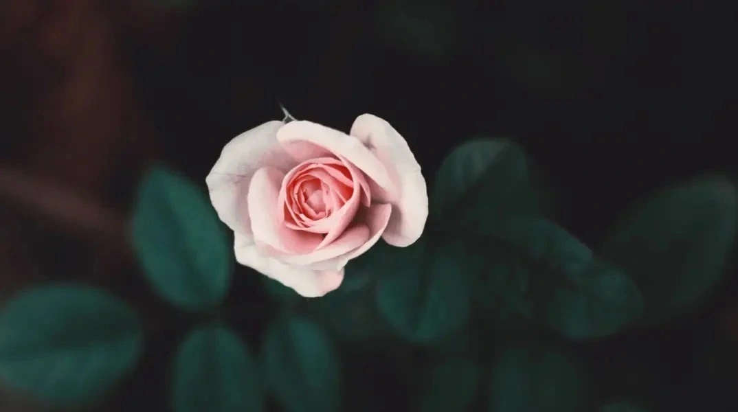 Εορτολόγιο: Σήμερα 28 Μαΐου 2023 γιορτάζει…