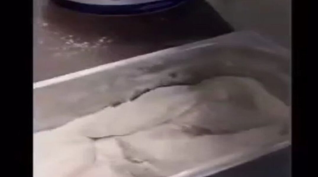 Σάλος με βίντεο που δείχνει να τηγανίζουν ζωντανά ψάρια σε ταβέρνα στην Κάρπαθο