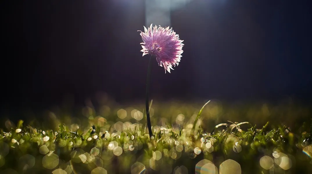 Εορτολόγιο: Σήμερα 2 Ιουνίου 2023 γιορτάζει…