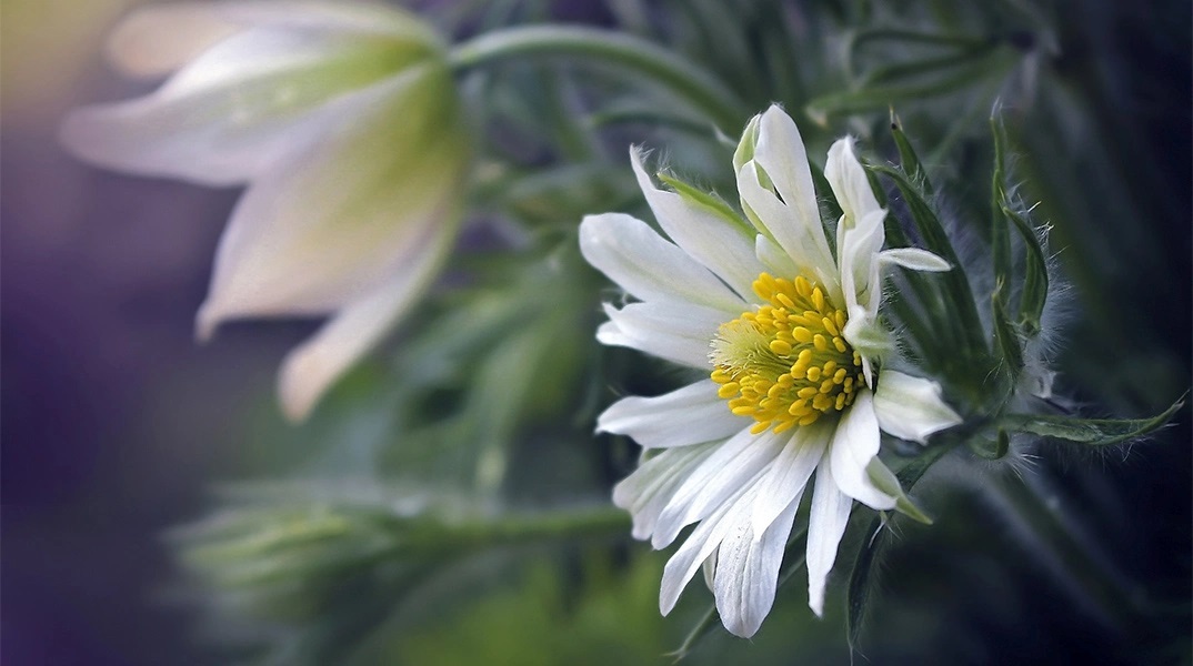 Εορτολόγιο: Σήμερα 4 Ιουνίου 2023 γιορτάζει…