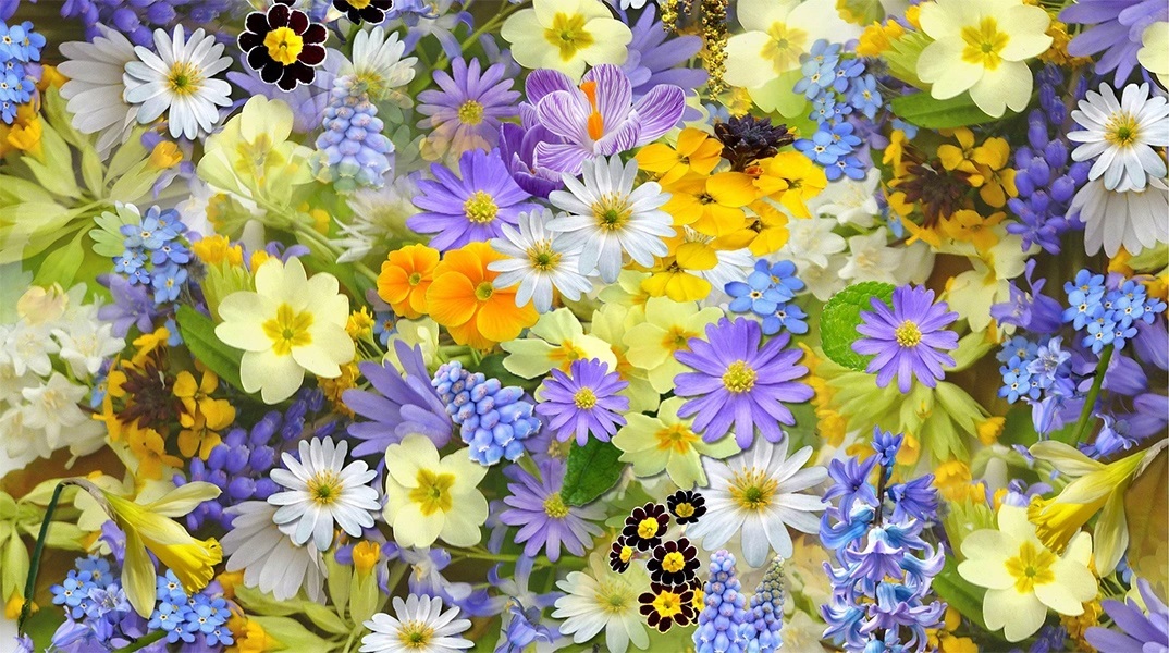 Εορτολόγιο: Σήμερα 5 Ιουνίου 2023 γιορτάζει…