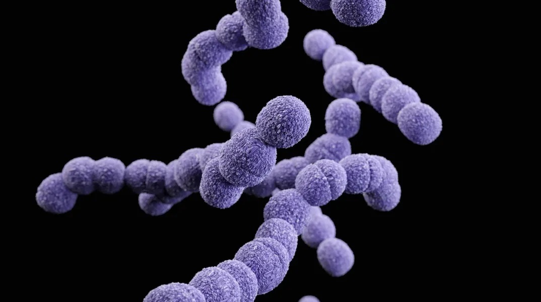 ΕΟΔΥ: Δέκα ερωτήσεις και απαντήσεις για τον στρεπτόκοκκο 