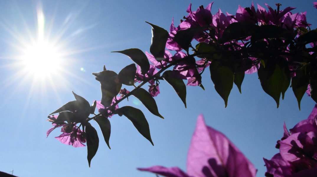 Πότε (επιτέλους) είναι η επίσημη έναρξη του καλοκαιριού