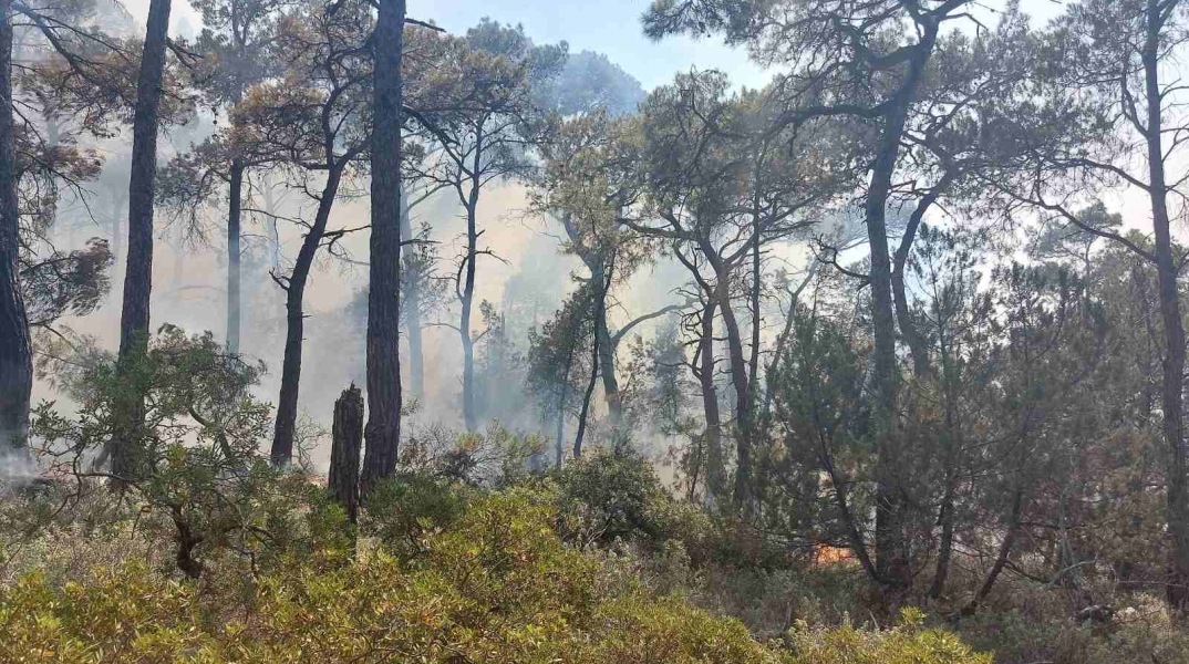 Φωτιά στη Ρόδο