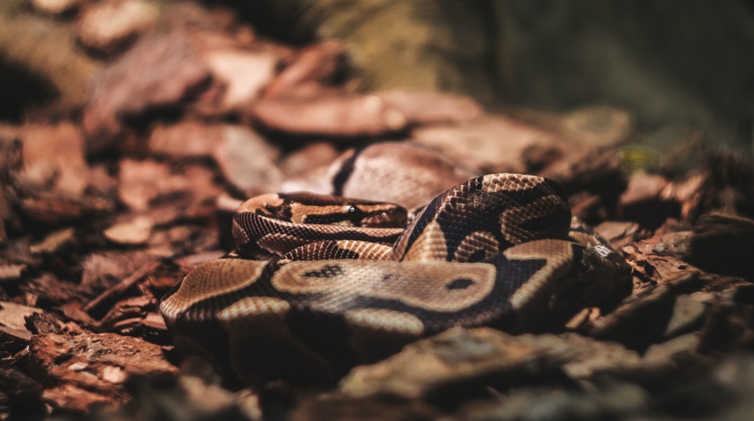 Βόλος: Ανταποκρίνεται στη θεραπεία το κορίτσι