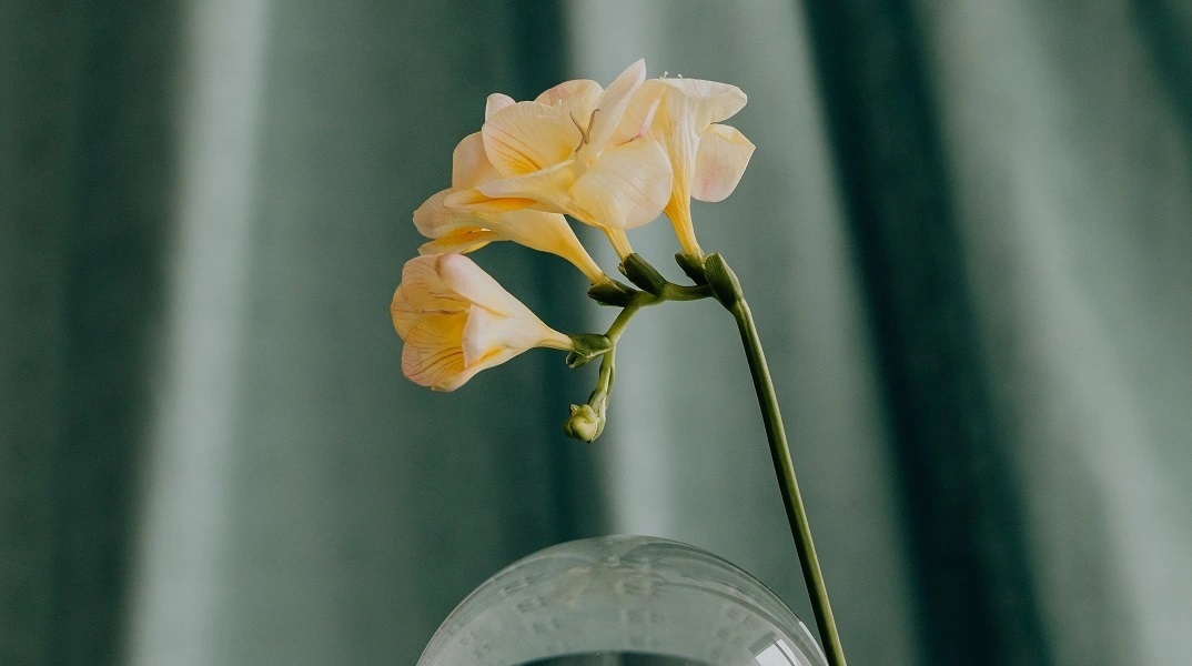 Εορτολόγιο: Σήμερα 18 Ιουλίου 2023 γιορτάζει…