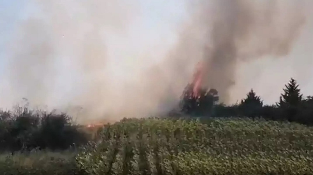 Φωτιά τώρα στο Διδυμότειχο - Κοντά σε κατοικημένη περιοχή