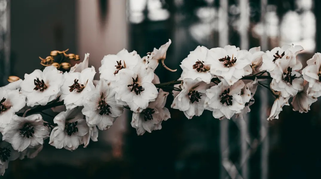 Εορτολόγιο: Σήμερα 22 Ιουλίου 2023 γιορτάζει…