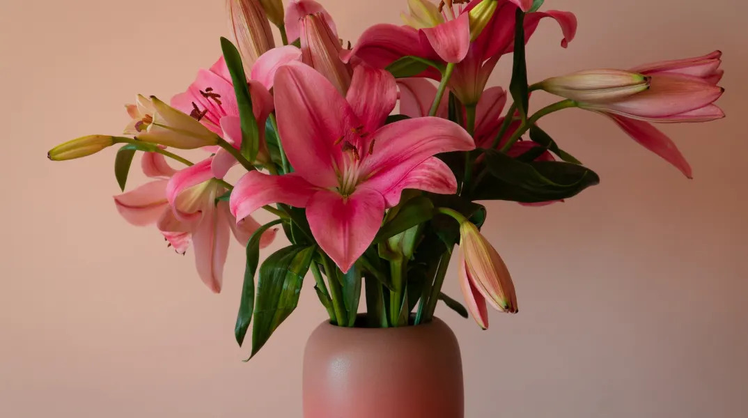 © Unsplash /Earl Wilcox