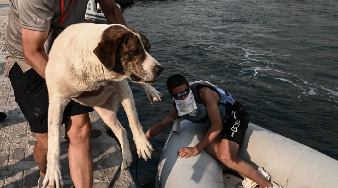 Εκκενώνεται δια θαλάσσης η Νέα Αγχίαλος (εικόνες)