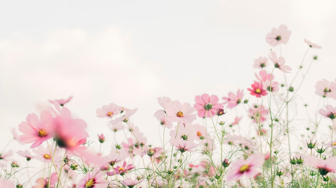 Εορτολόγιο: Σήμερα 28 Ιουλίου 2023 γιορτάζει…