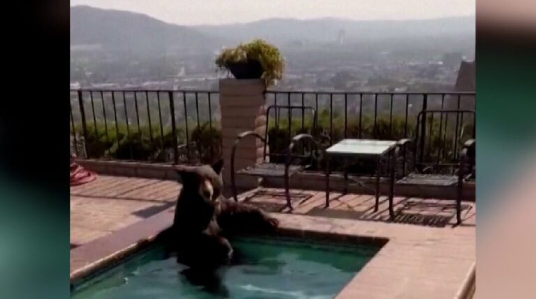 Η αρκούδα στο τζακούζι στην Καλιφόρνια