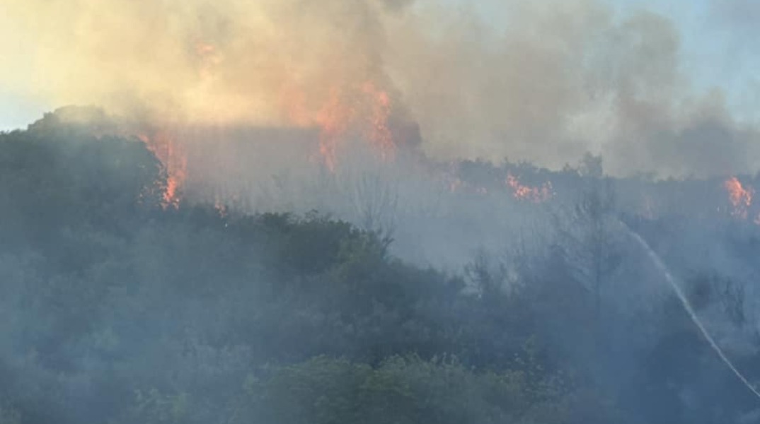 Φωτιά στον Βαρνάβα Αττικής