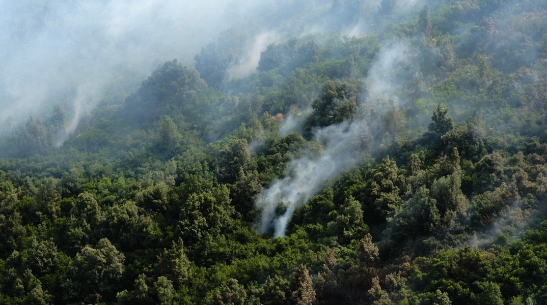 Καπνοί δασικής πυρκαγιάς