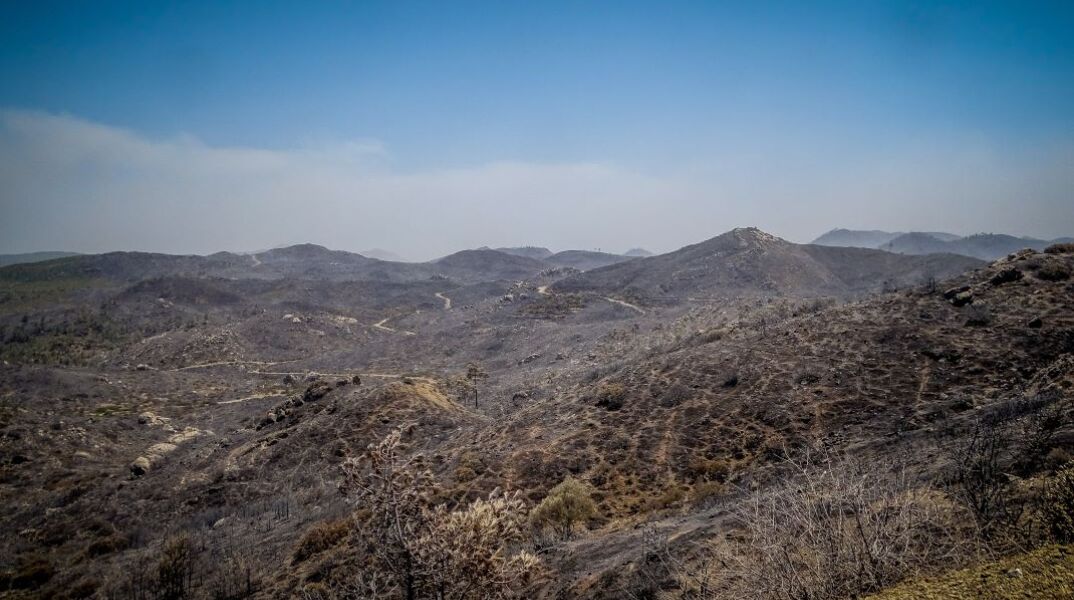 Καμένες δασικές εκτάσεις στη Ρόδο