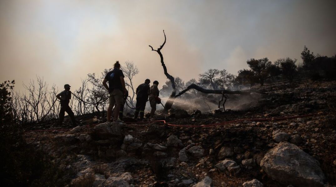 «Στάχτη» 550.000 στρέμματα στη χώρα μέχρι τον Ιούλιο