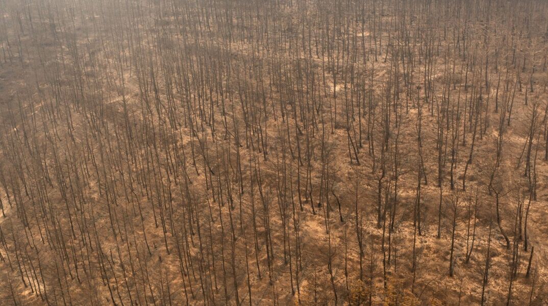 Πάνω από 400.000 στρέμματα παραδόθηκαν στη στάχτη από τις πυρκαγιές των τελευταίων τριών ημερών