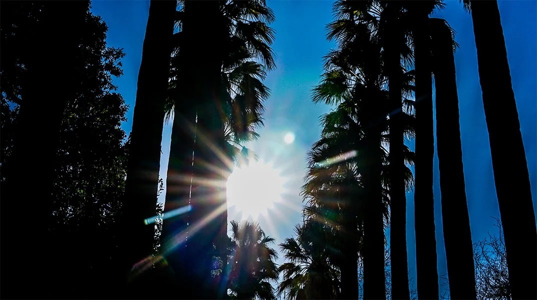 Καιρός σήμερα: Αίθριος με θερμοκρασία στους 39 βαθμούς