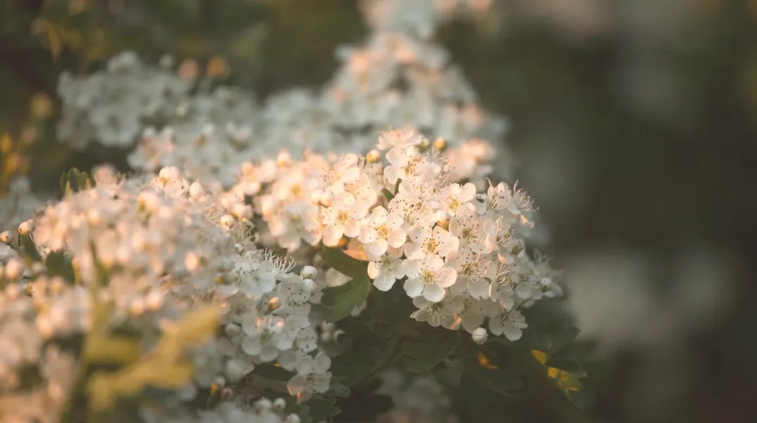 Εορτολόγιο: Σήμερα 24 Αυγούστου 2023 γιορτάζει…