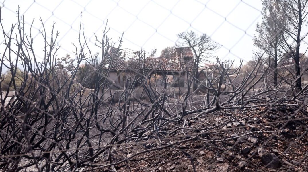Φλόγιστρο, μπιτόνι και πευκοβελόνες στην κατοχή συλληφθέντα για εμπρησμό