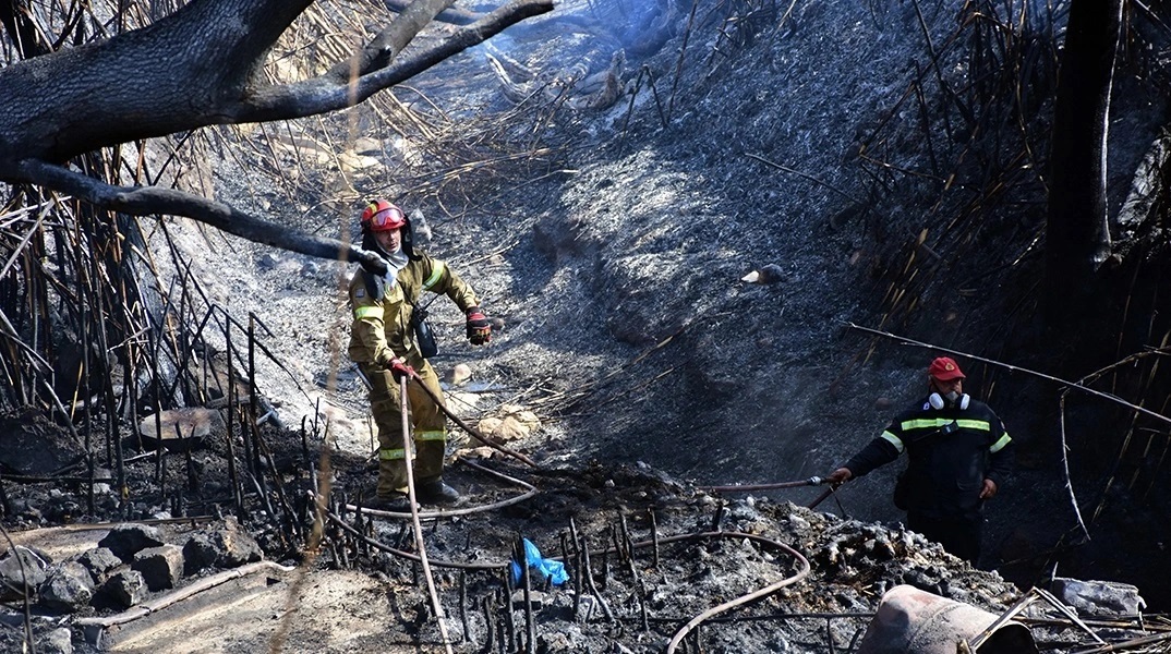 Φωτιές: Αναζωπυρώσεις σε Έβρο, Πάρνηθα, Βοιωτία 