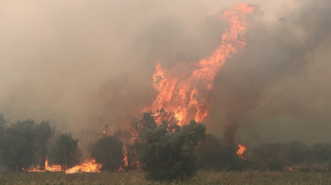 Φωτιά στον Έβρο: Μήνυμα 112 για εκκένωση του χωριού Αύρα