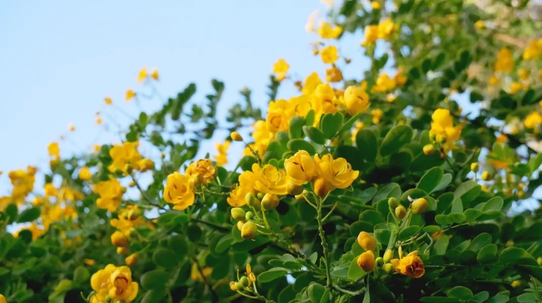 Εορτολόγιο: Σήμερα 28 Αυγούστου 2023 γιορτάζει…