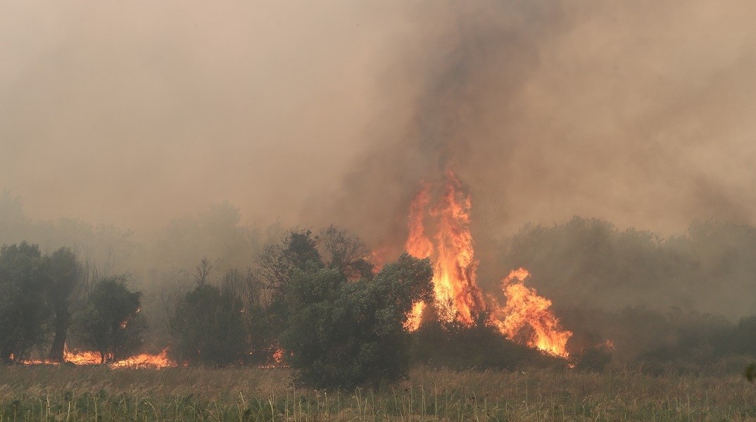 Φωτιά στον Έβρο: Μήνυμα του 112 για εκκένωση της Λευκίμμης