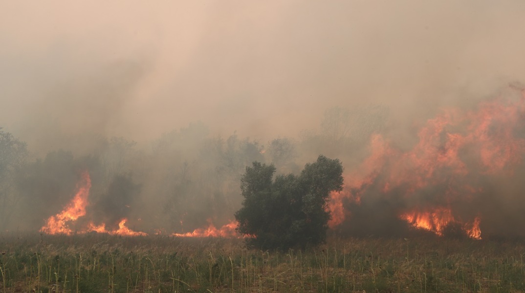 Φωτιά στον Έβρο: Αναζωπυρώσεις - Εκκενώσεις οικισμών