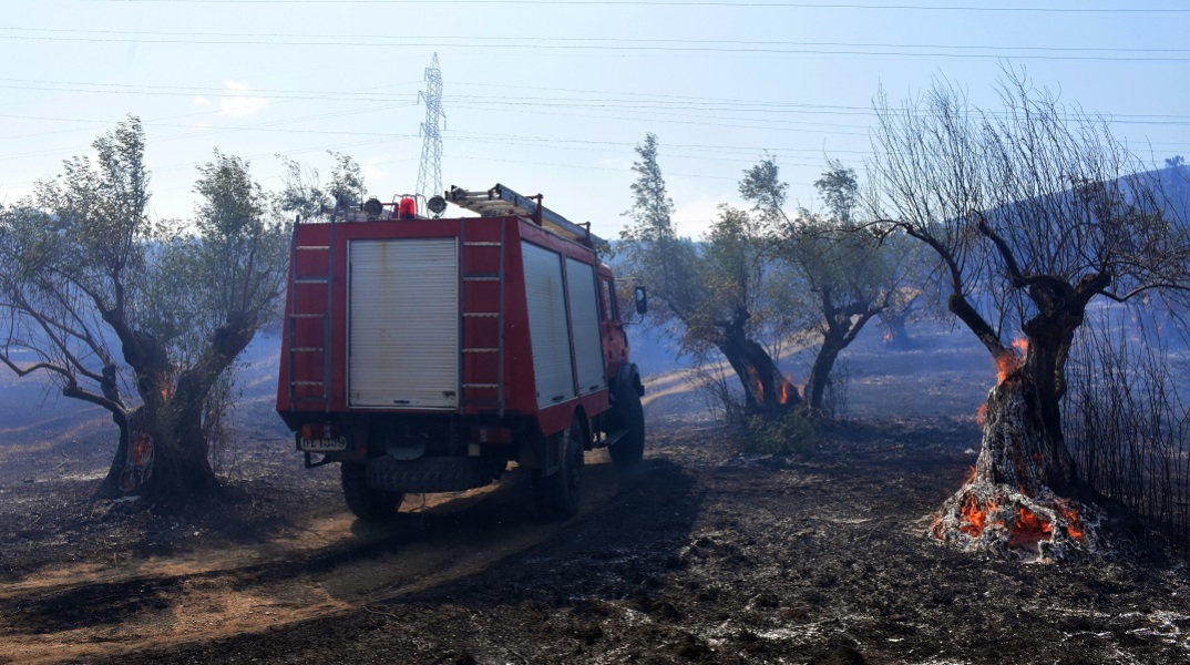 Καστοριά: Κεραυνός έκαψε κτηνοτροφική μονάδα στην Μεσοποταμία