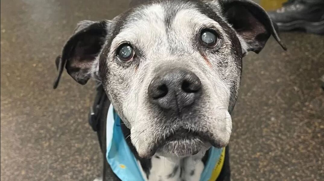 Ο 23χρονος Τάι έκλεισε ένα χρόνο με τους νέους του κηδεμόνες