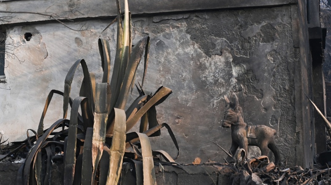 Στιγμιότυπο από τη φωτιά στην Πάρνηθα